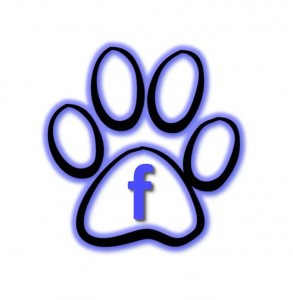 facebook-logo-293x300.jpg